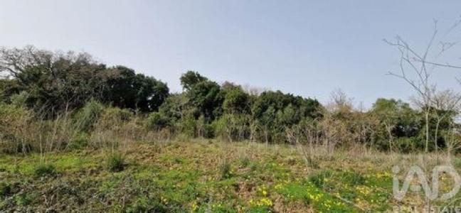 Vente Terrain MAFRA 2640
