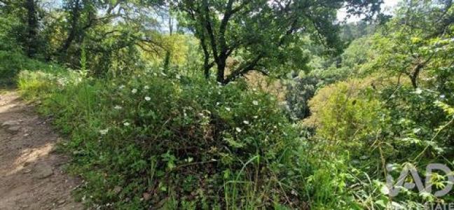 Vente Terrain MAFRA 2640