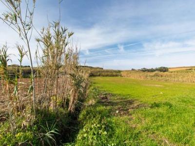 Vente Terrain MAFRA 2640