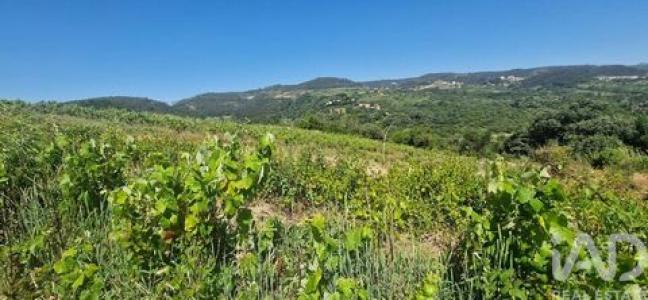 Vente Terrain MAFRA 2640