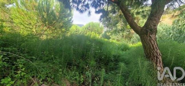 Vente Terrain MAFRA 2640