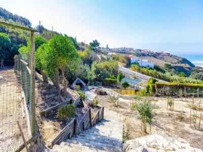 Vente Terrain MAFRA 2640