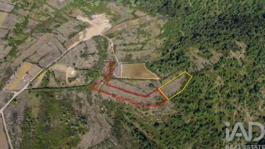 Vente Terrain MAFRA 2640