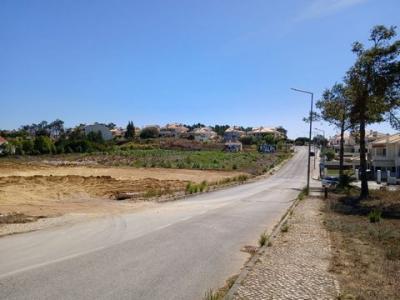 Vente Terrain MAFRA 2640