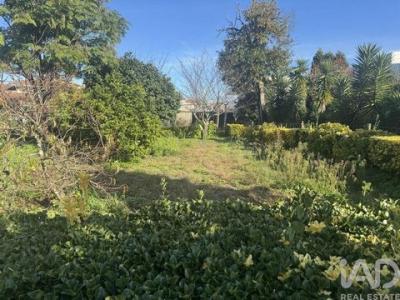 Vente Maison MAIA 4425