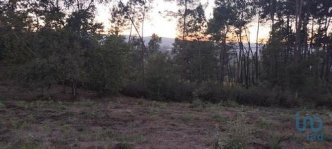 Vente Terrain MARCO-DE-CANAVESES 4630