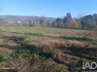 Vente Terrain MARCO-DE-CANAVESES 4630