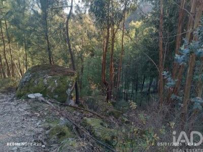 Vente Terrain MARCO-DE-CANAVESES 4630