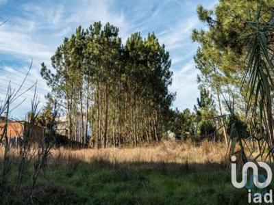 Vente Terrain MARINHA-GRANDE 2430