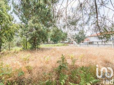 Vente Terrain MARINHA-GRANDE 2430