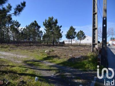 Vente Terrain MARINHA-GRANDE 2430