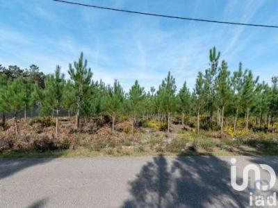 Vente Terrain MARINHA-GRANDE 2430