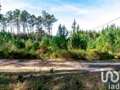 Vente Terrain MARINHA-GRANDE 2430