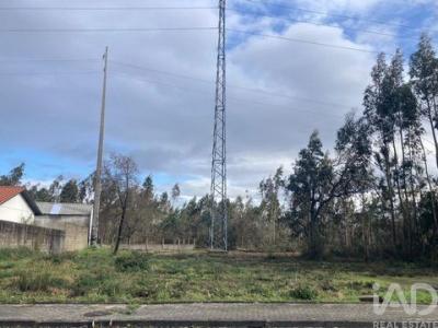 Vente Terrain MARINHA-GRANDE 2430