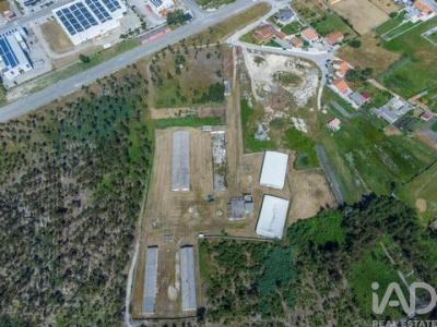 Vente Terrain MARINHA-GRANDE 2430