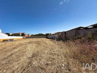 Vente Terrain MARINHA-GRANDE 2430