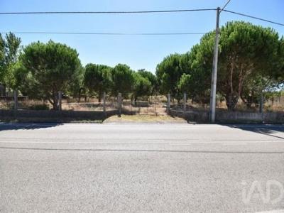 Vente Terrain MARINHA-GRANDE 2430