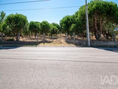 Vente Terrain MARINHA-GRANDE 2430