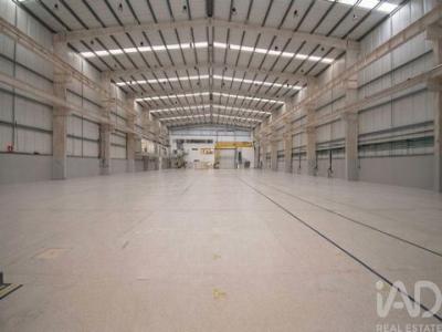 Location Local industriel MARINHA-GRANDE 2430