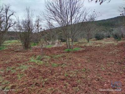 Vente Terrain MARVAO 7330