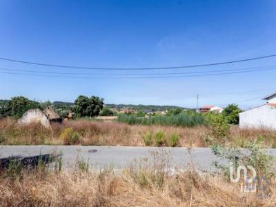 Vente Terrain MEALHADA 3050