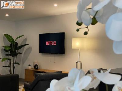 Location Appartement 2 pi�ces MIRANDELA 5370