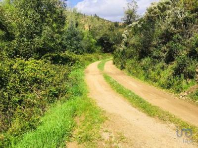 Vente Terrain MONCHIQUE 8550