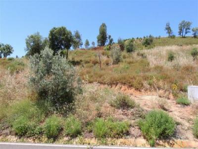 Vente Terrain MONCHIQUE 8550