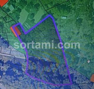 Vente Terrain MONCHIQUE 8550