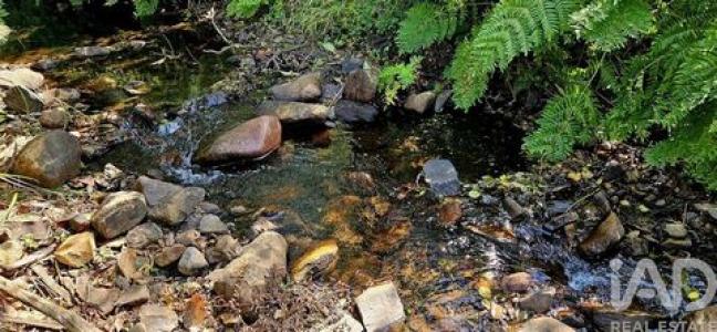 Vente Terrain MONCHIQUE 8550