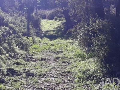 Vente Terrain MONCHIQUE 8550