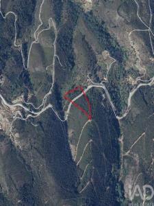 Vente Terrain MONCHIQUE 8550