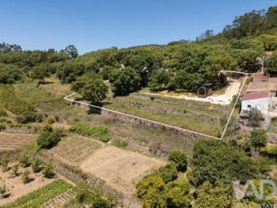 Vente Maison MONCHIQUE 8550