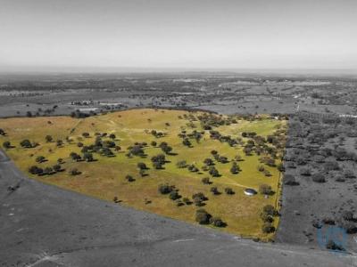 Vente Maison MONTEMOR-O-NOVO 7050