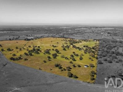 Vente Maison MONTEMOR-O-NOVO 7050