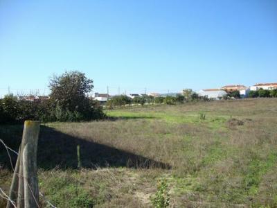 Vente Terrain MONTIJO 2870