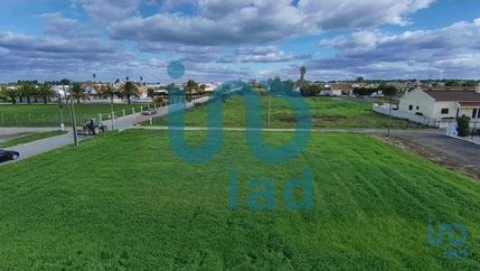 Vente Terrain MONTIJO 2870