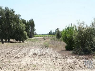 Vente Terrain MONTIJO 2870