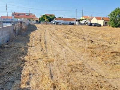 Vente Terrain MONTIJO 2870