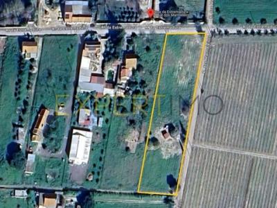 Vente Terrain MONTIJO 2870