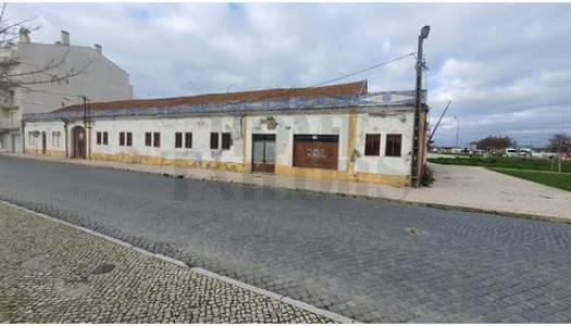 Vente Terrain MONTIJO 2870