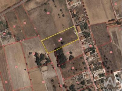 Vente Terrain MONTIJO 2870