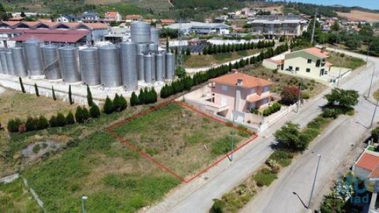 Vente Terrain MURCA 5155
