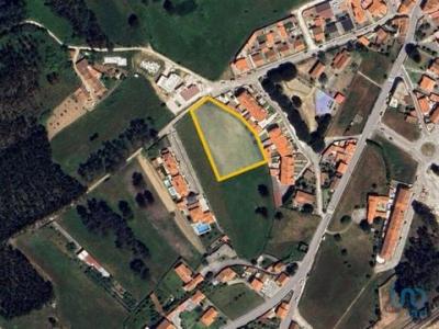 Vente Terrain NAZARE 2450