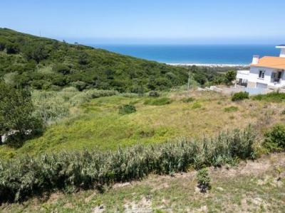 Vente Terrain NAZARE 2450