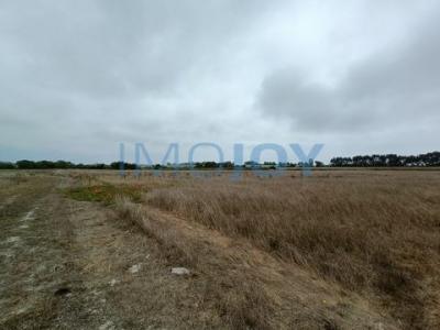 Vente Terrain ODEMIRA 7630