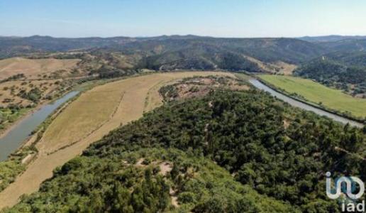 Vente Terrain ODEMIRA 7630