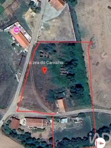 Vente Terrain ODEMIRA 7630