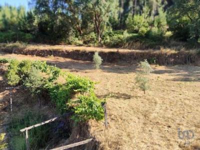 Vente Maison 6 pi�ces OLEIROS 6160