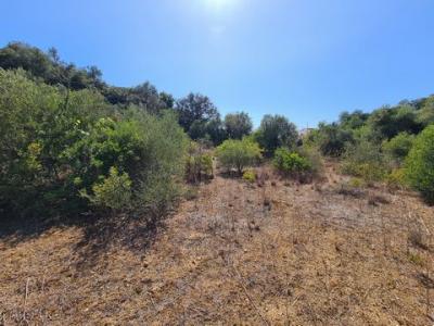 Vente Maison OLHAO 8700